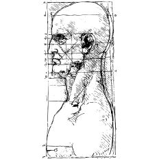 Man profile drawing by Leonardo da Vinci 