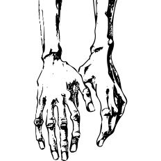 Hands by Egon Schiele