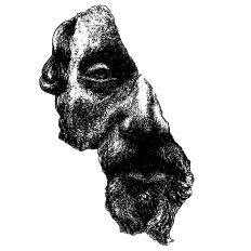 Marcus Aurelius hand drawn portrait 
