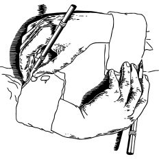 Hands drawing hands 