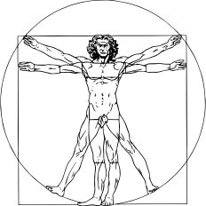 Leonardo Vitruvian Man lineart
