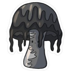 Inkcap Mushroom
