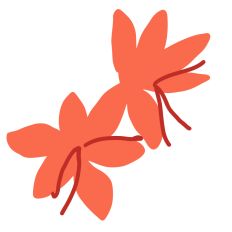 Insatiable Saffron 