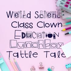 It's All Write Font Bundle
