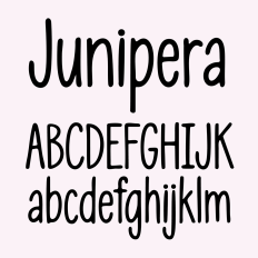 BFC Junipera Tall Cute Handwriting Planner Font
