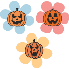 Jack O Lantern Pumpkin Flowers