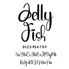 Jelly Fish