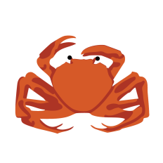 Beach Crab