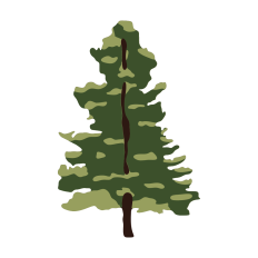 Pine Tree Layered Cut Design