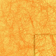 Citrus abstract lines printable background