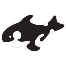 Killer Whale Floatie