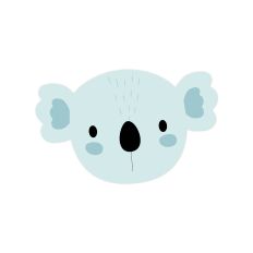 Baby Boy Koala