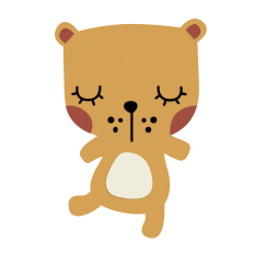 Teddy bear