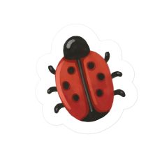 Little Ladybug