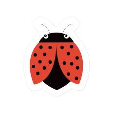 Little Ladybug