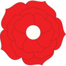 Large Flowers
