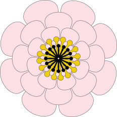 Large Flowers