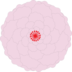 Large Flowers