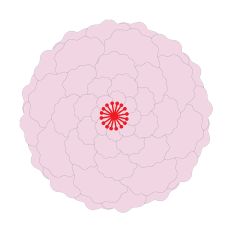 Large Paper Flower For Party Backdrops