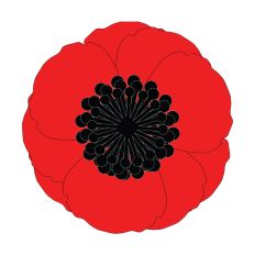 Large Paper Flower For Party Backdrops