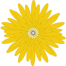 Large Flowers