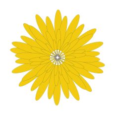 Large Paper Flower For Party Backdrops
