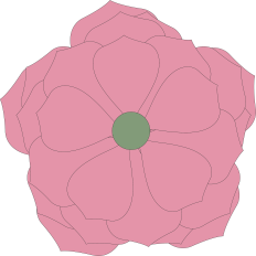 Large Flowers