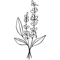 Lavender flower bouquet