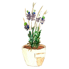 Watercolor Lavender Sticker - Print & Cut