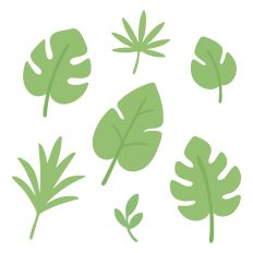 Layered Tropical Leaves