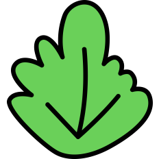 Leaf