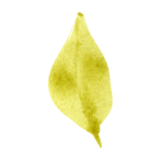 Watercolor Leaves