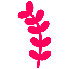 Curved Leaves