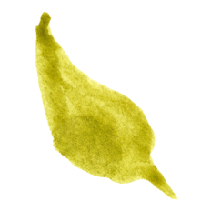 Watercolor Leaves