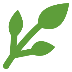 Leaf Branch Outline