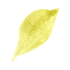 Watercolor Leaves