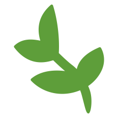 Leaf Branch