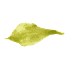 Watercolor Leaves