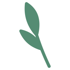 Leaves Silhouette