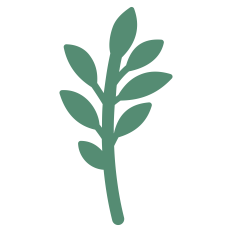 Leaves Silhouette