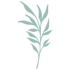 Leafy Branch