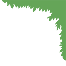 Grass Frame Corner