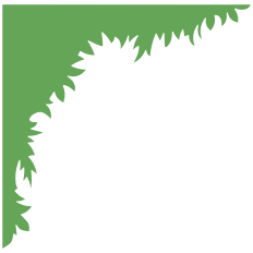 Grass Frame Corner