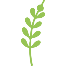 green leaf