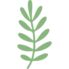 green spring leaf
