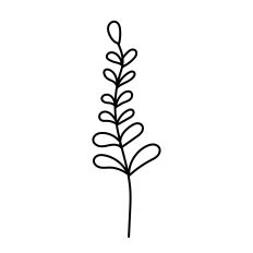 Leafy Branch Floral Filler SVG – Hand-Drawn Botanical Line Art for Silhouette Studio