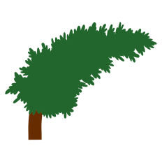 Leaning Tree