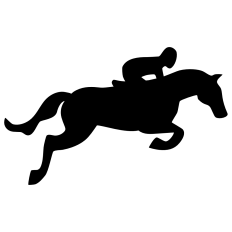 Jumping Horse