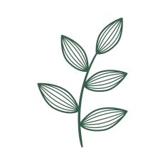 Botanical Floral Element