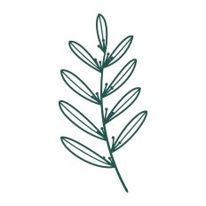 Botanical Floral Element